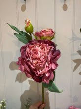 RASPBERRY DRIED TOUCH PEONY STEM - FAUX FLORALS