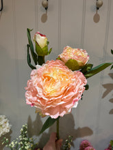 BLUSH DRIED TOUCH PEONY STEM - FAUX FLORALS