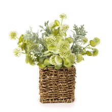 JONQUIL IN WICKER BASKET